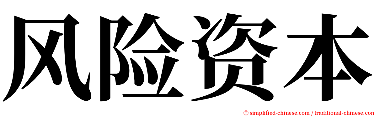 风险资本 serif font