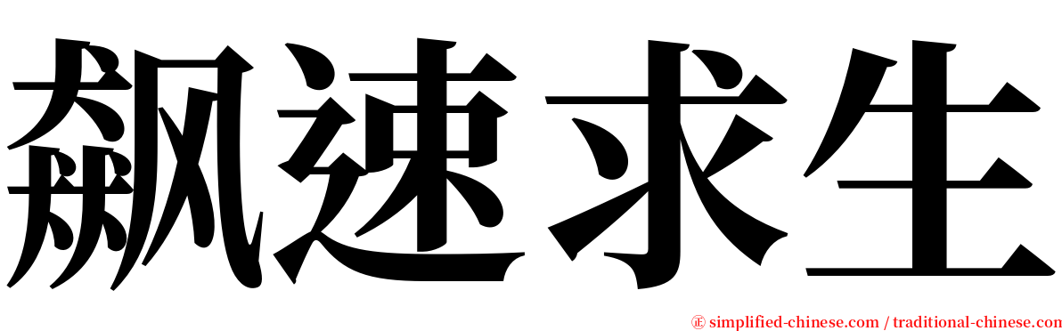 飙速求生 serif font