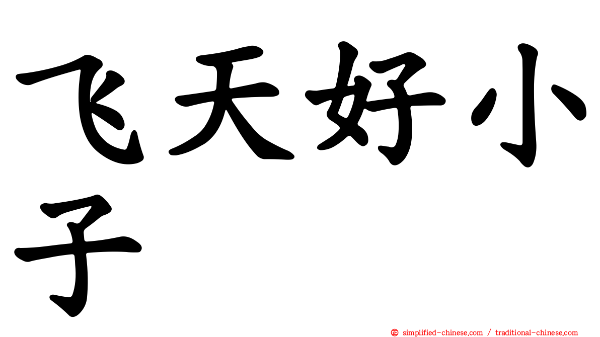 飞天好小子