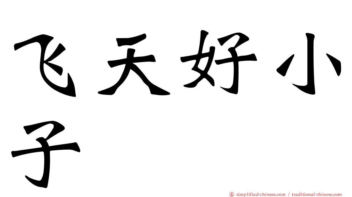 飞天好小子