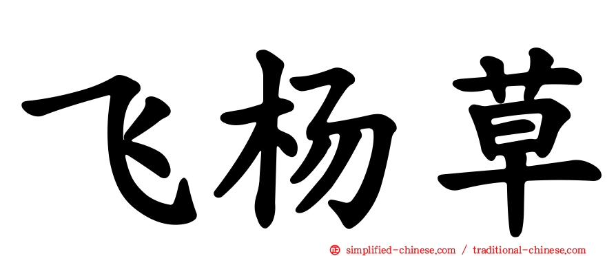 飞杨草