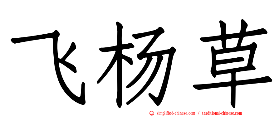 飞杨草