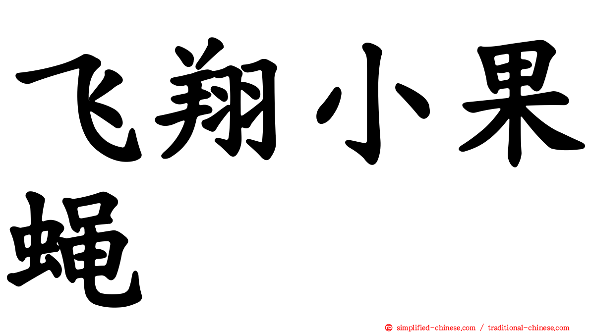 飞翔小果蝇
