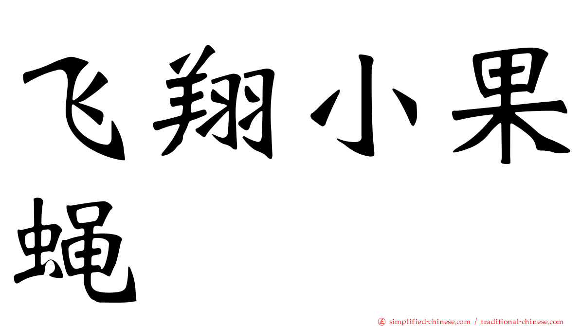 飞翔小果蝇