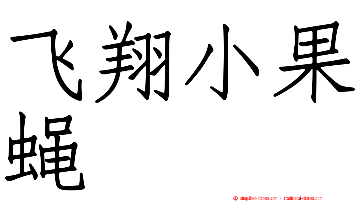 飞翔小果蝇