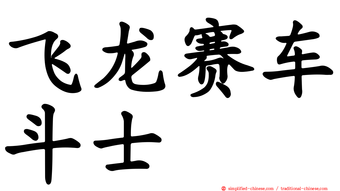 飞龙赛车斗士