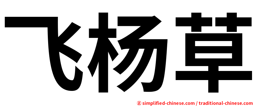 飞杨草