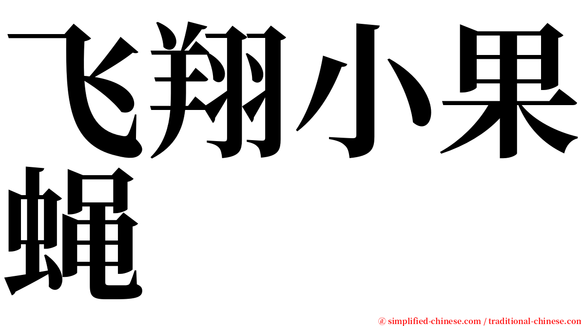 飞翔小果蝇 serif font