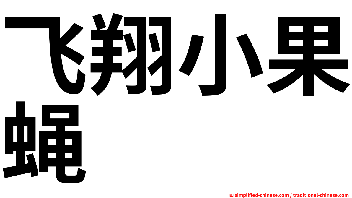 飞翔小果蝇