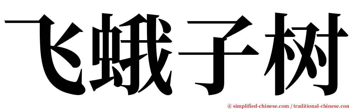 飞蛾子树 serif font