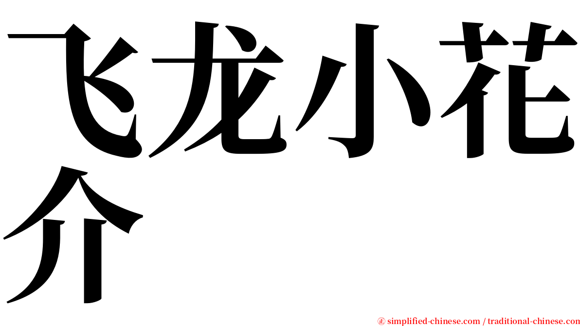 飞龙小花介 serif font