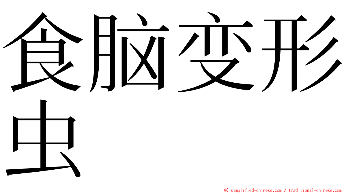 食脑变形虫 ming font