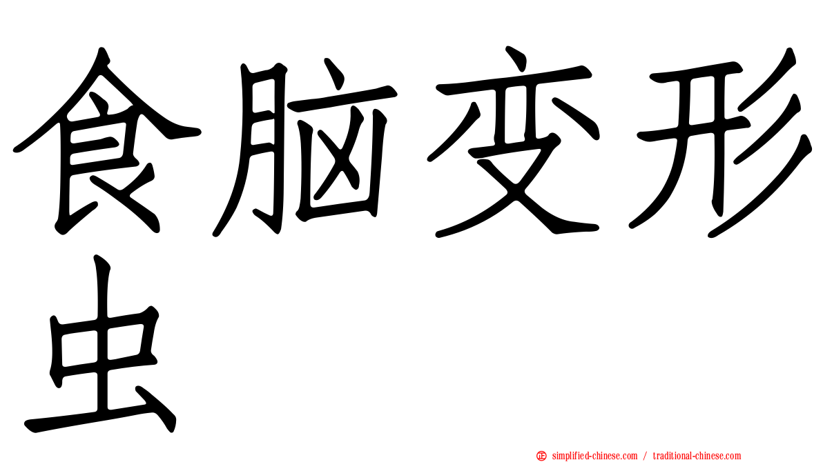 食脑变形虫