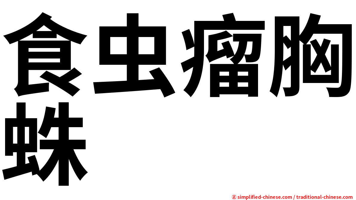 食虫瘤胸蛛