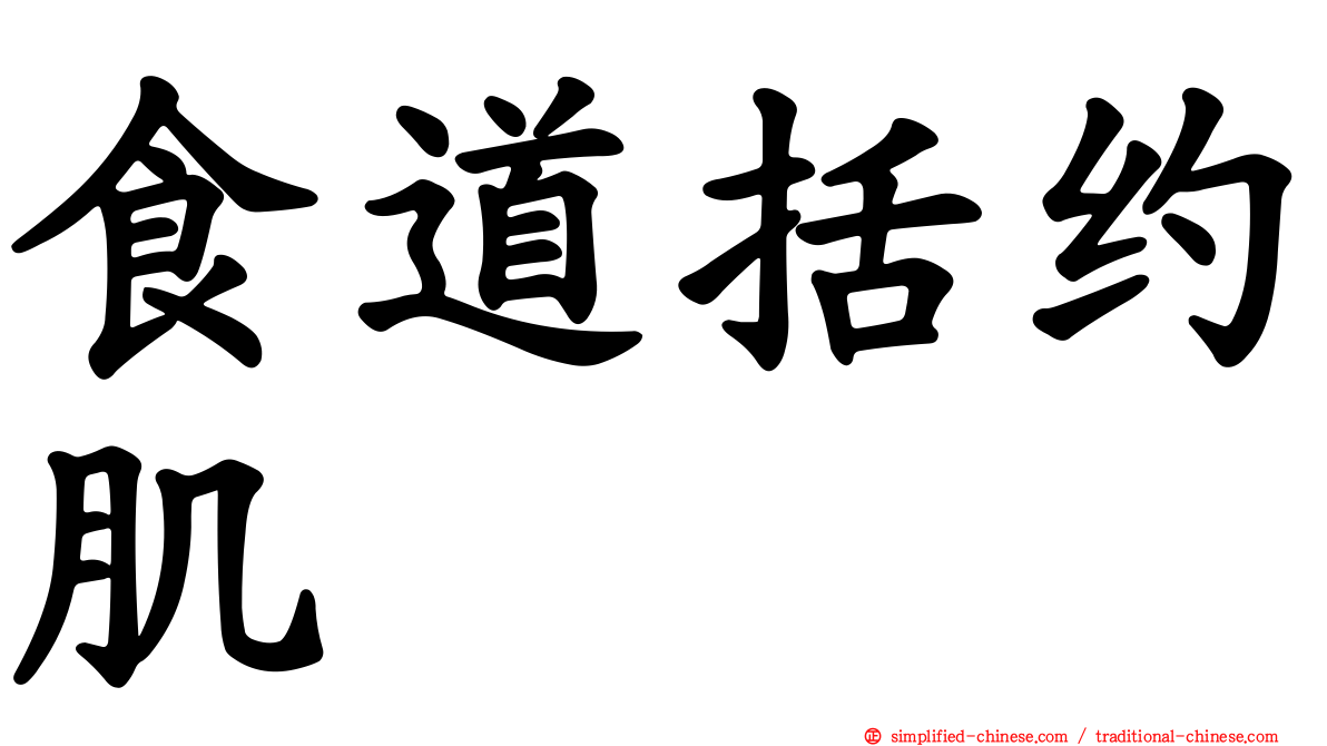 食道括约肌