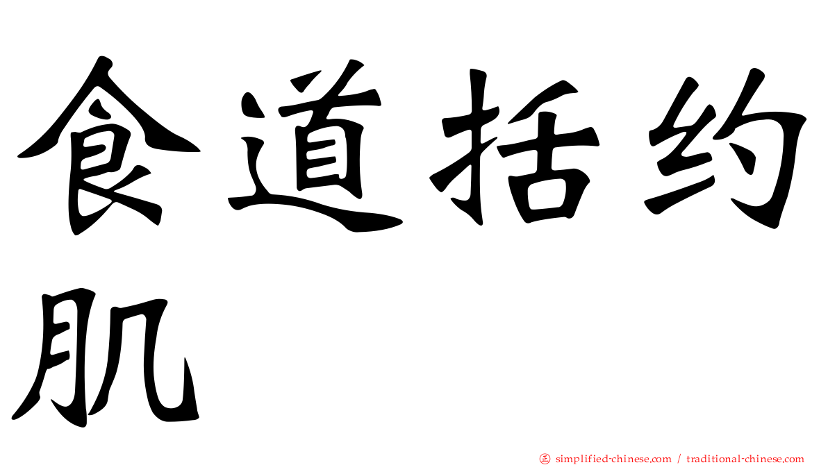 食道括约肌