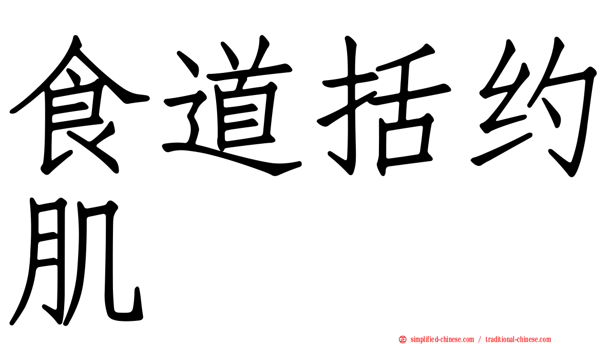 食道括约肌