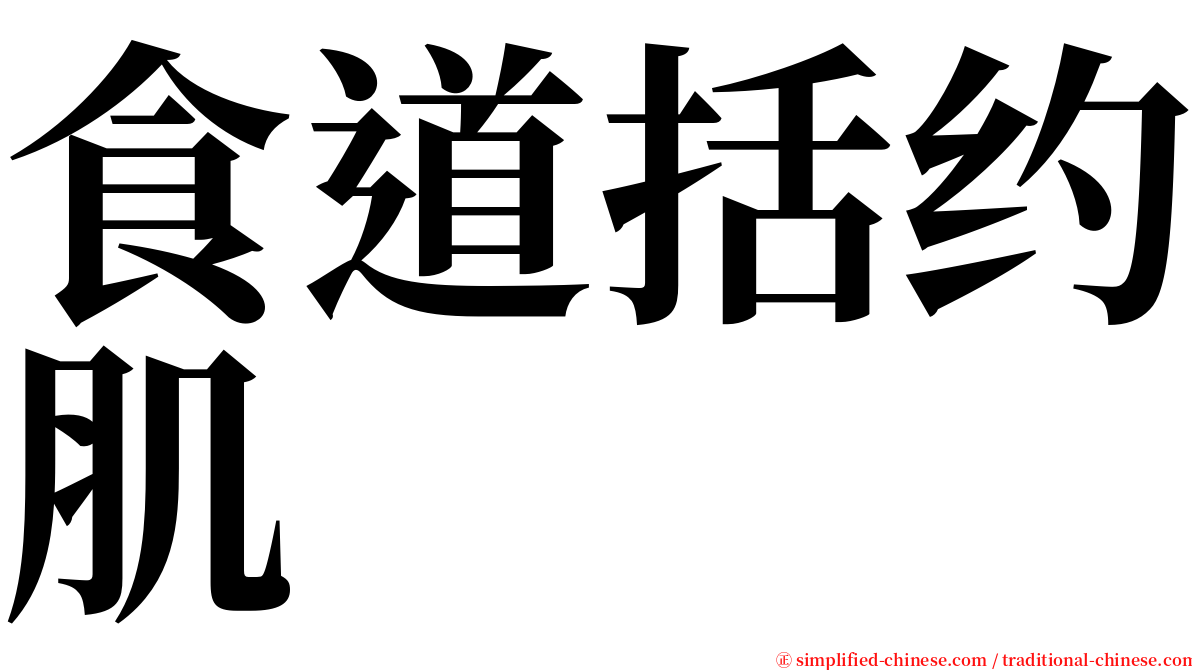 食道括约肌 serif font
