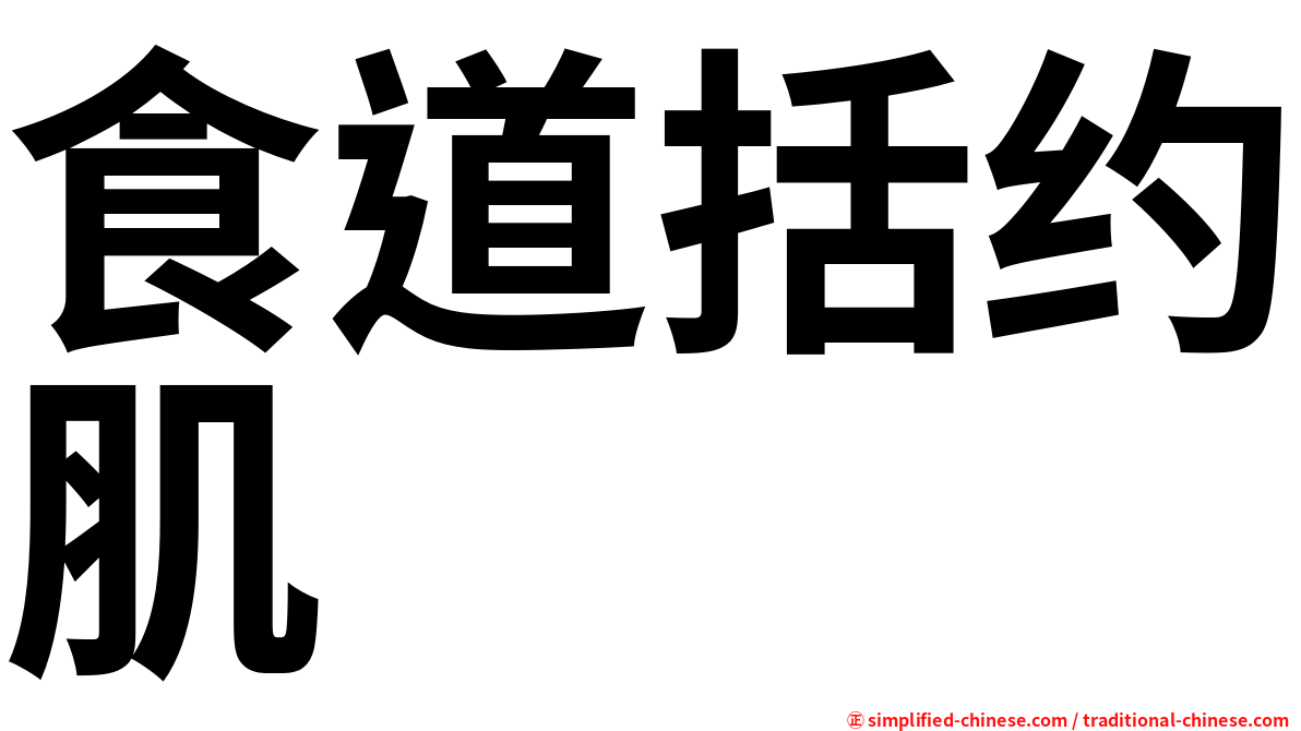 食道括约肌