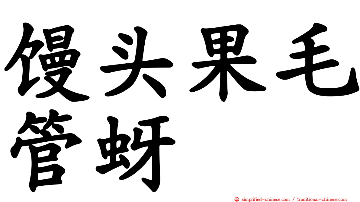 馒头果毛管蚜