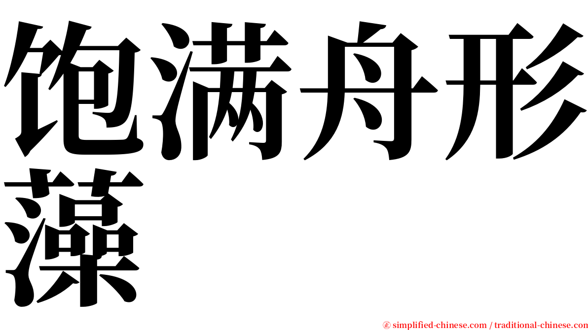 饱满舟形藻 serif font