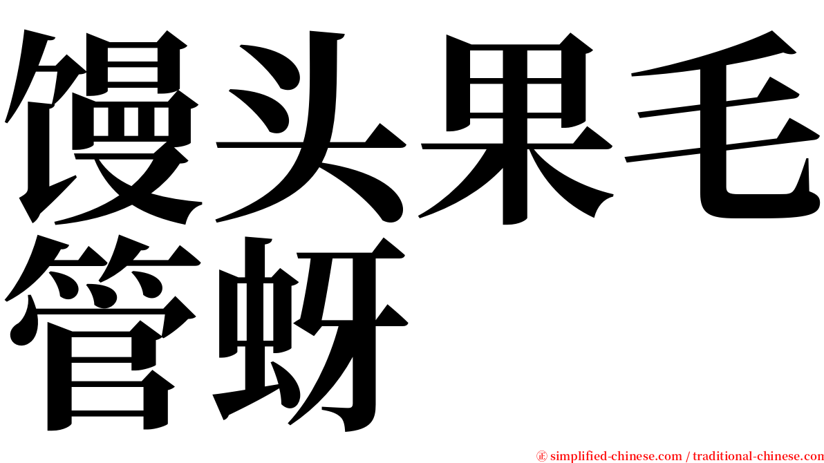 馒头果毛管蚜 serif font
