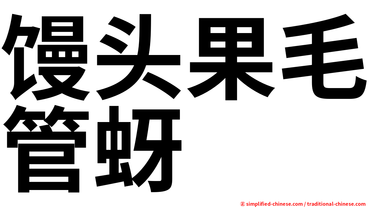 馒头果毛管蚜