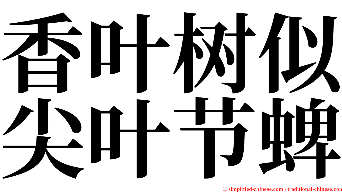 香叶树似尖叶节蜱 serif font