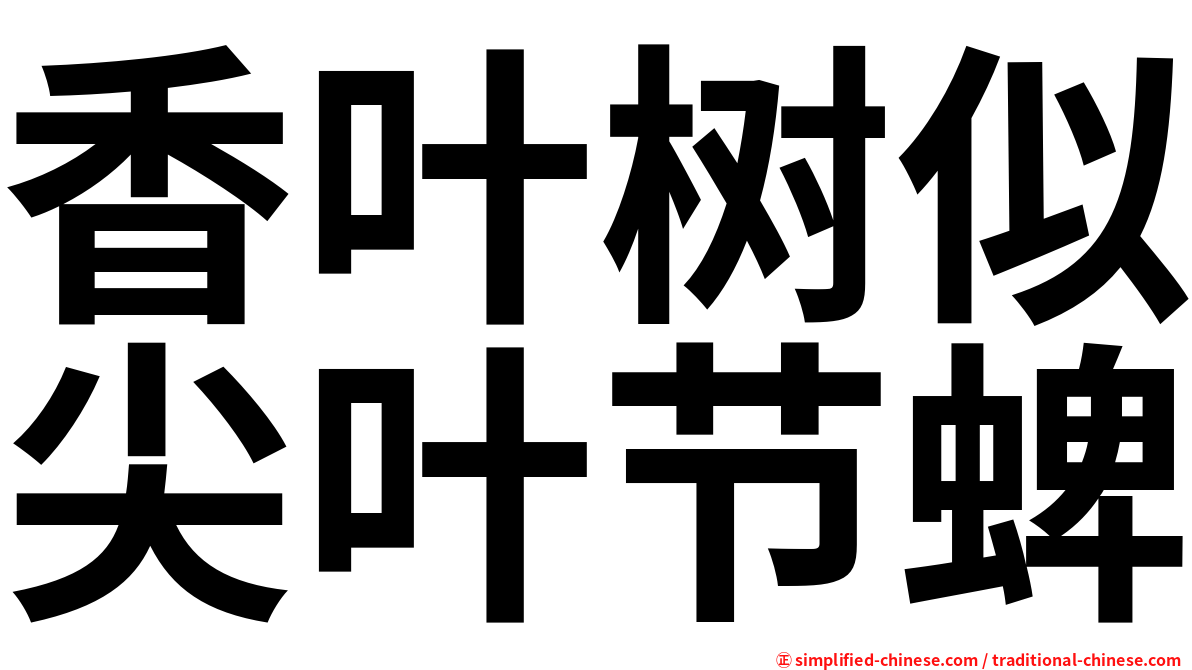 香叶树似尖叶节蜱