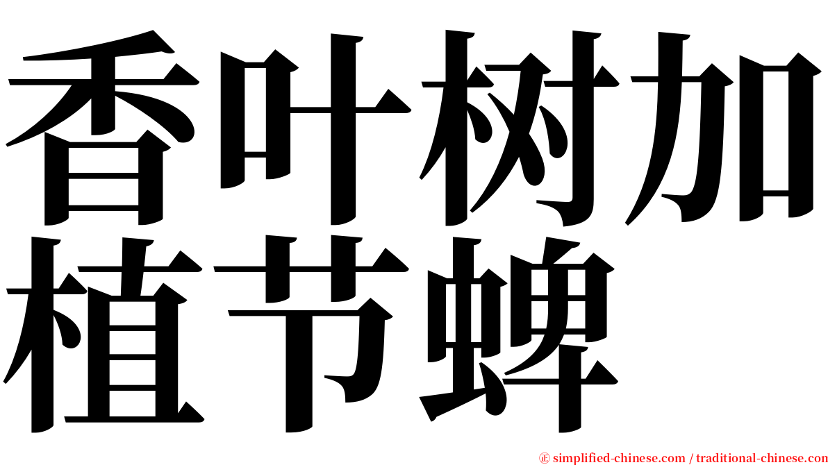 香叶树加植节蜱 serif font