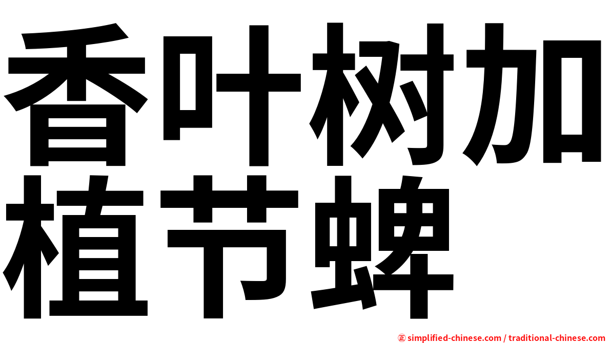 香叶树加植节蜱