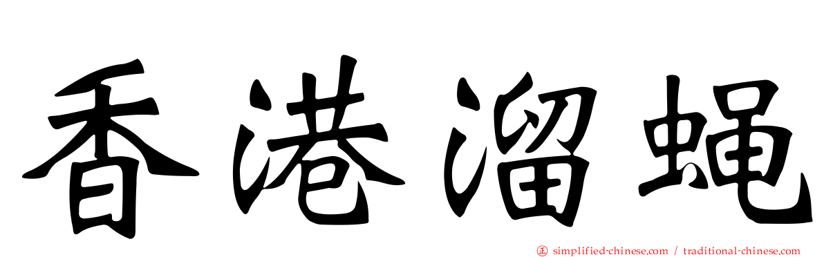 香港溜蝇