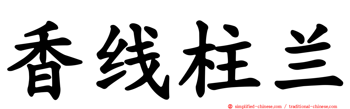 香线柱兰