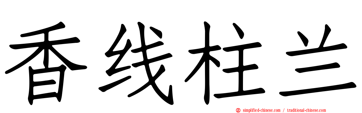 香线柱兰