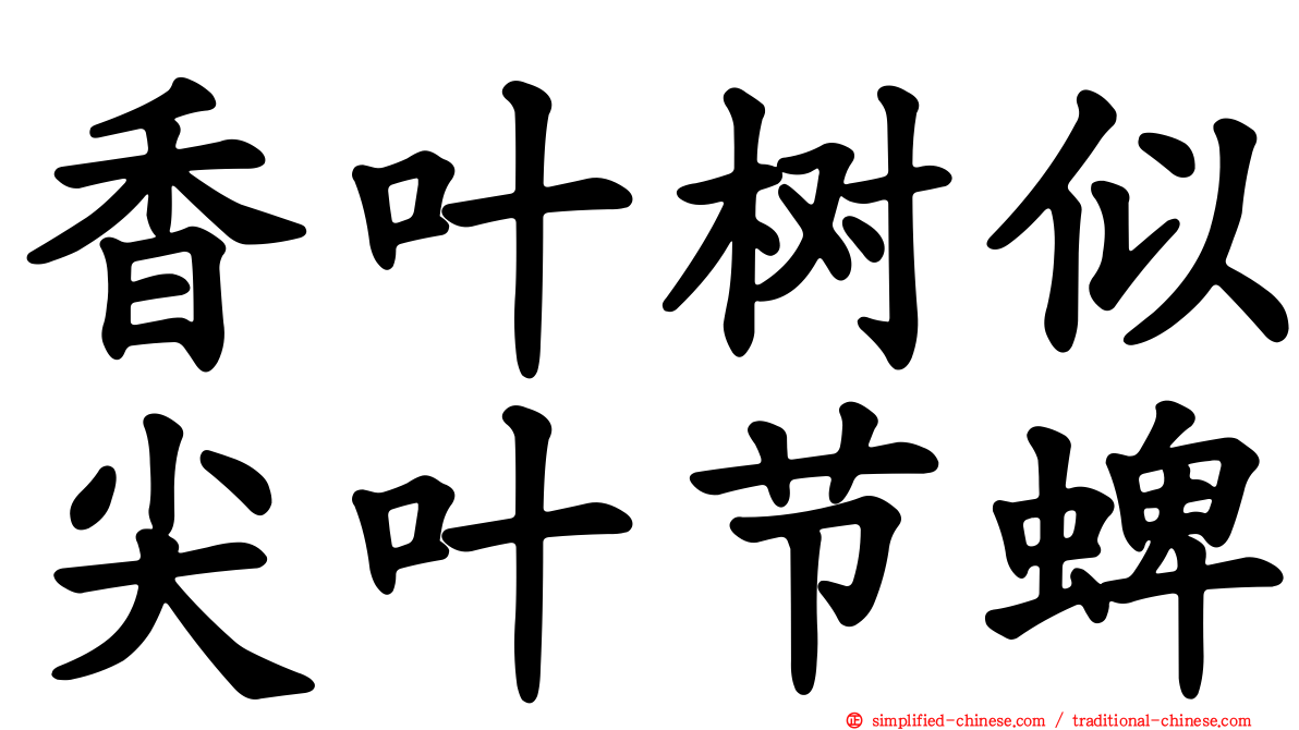 香叶树似尖叶节蜱