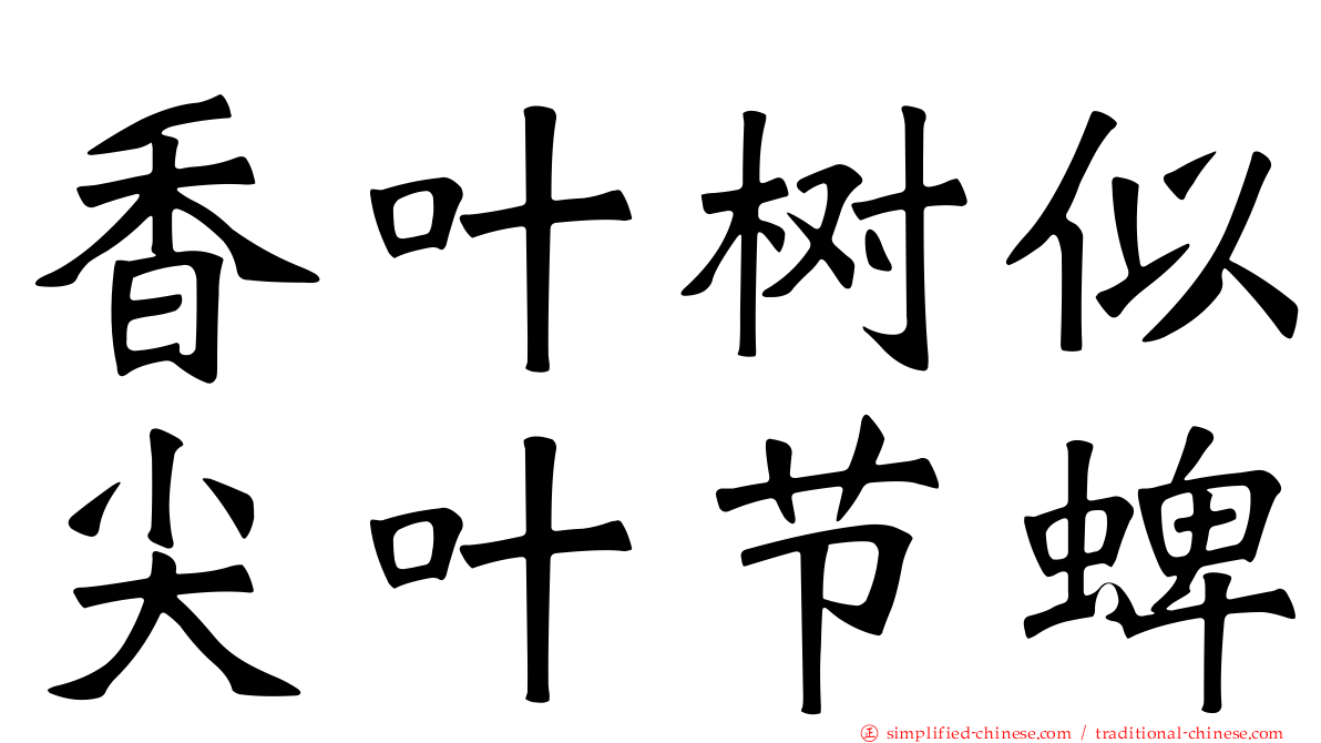 香叶树似尖叶节蜱