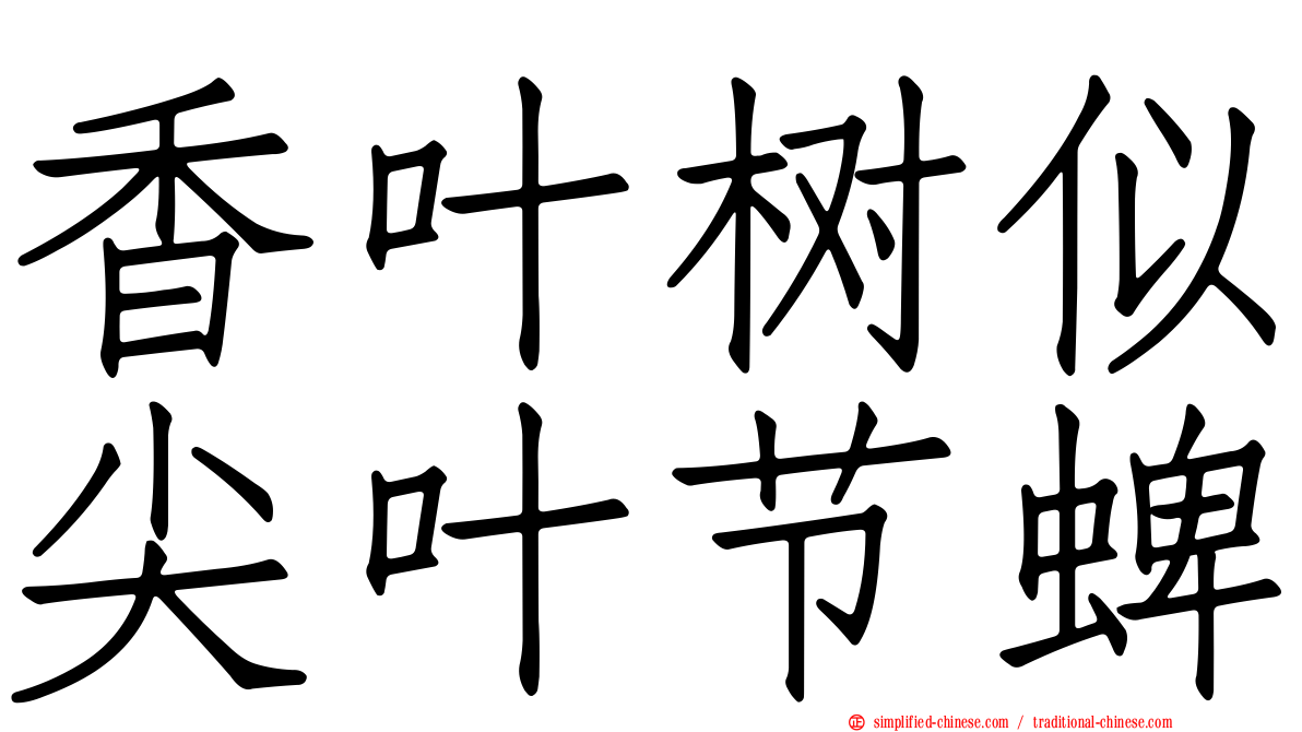 香叶树似尖叶节蜱