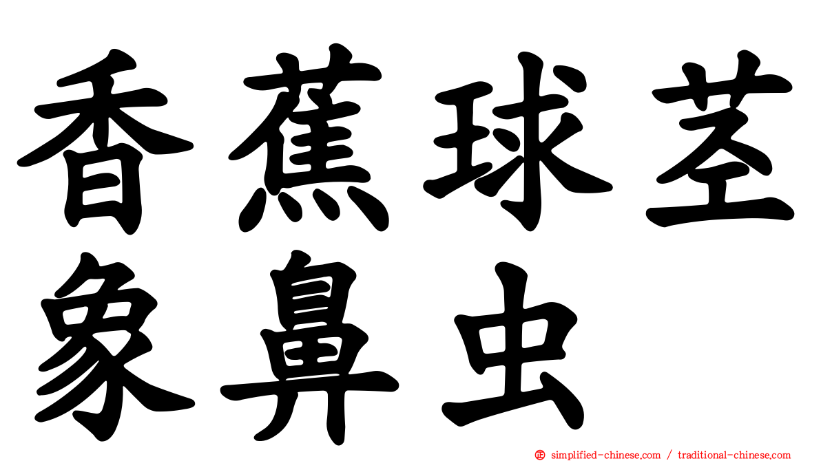 香蕉球茎象鼻虫