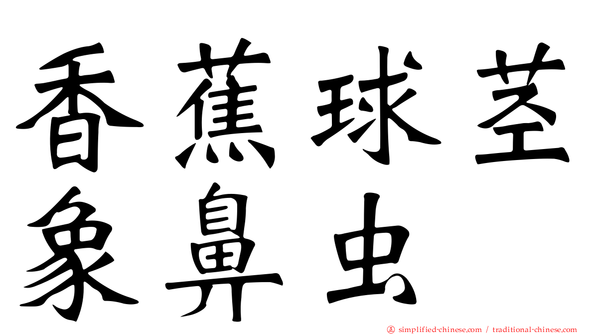 香蕉球茎象鼻虫