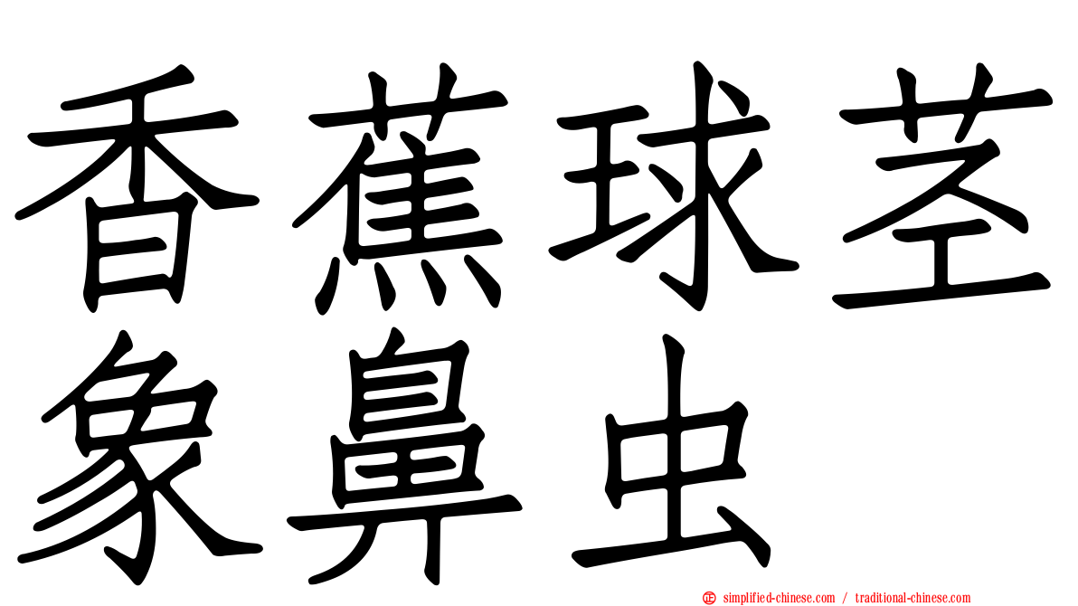 香蕉球茎象鼻虫