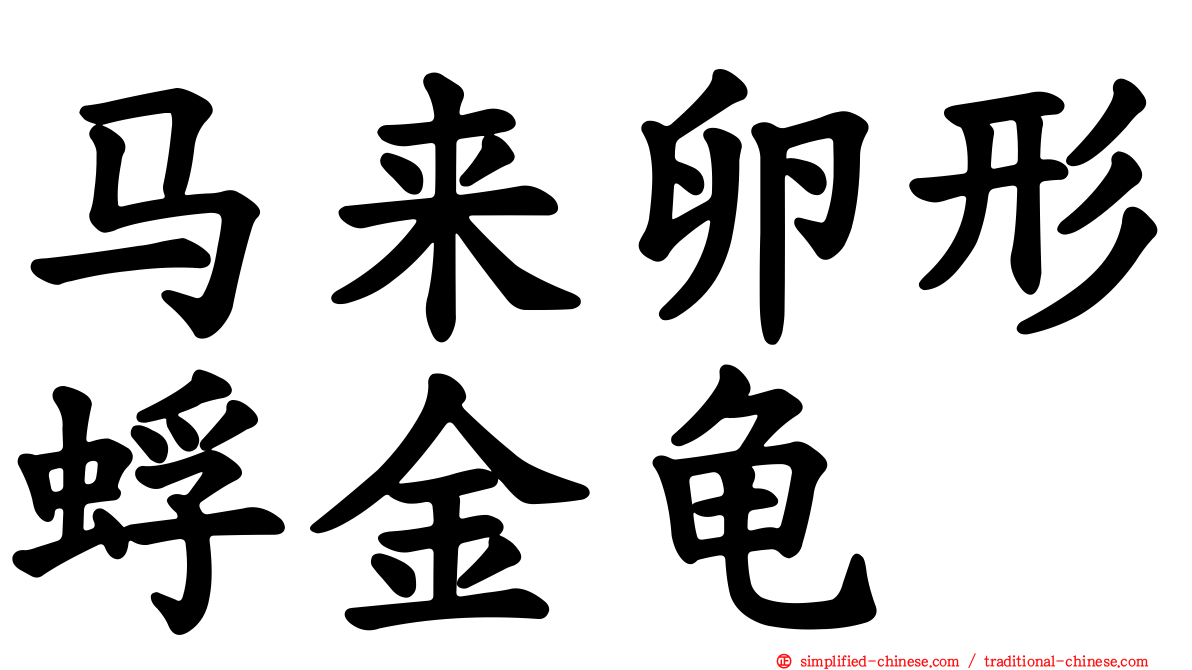 马来卵形蜉金龟