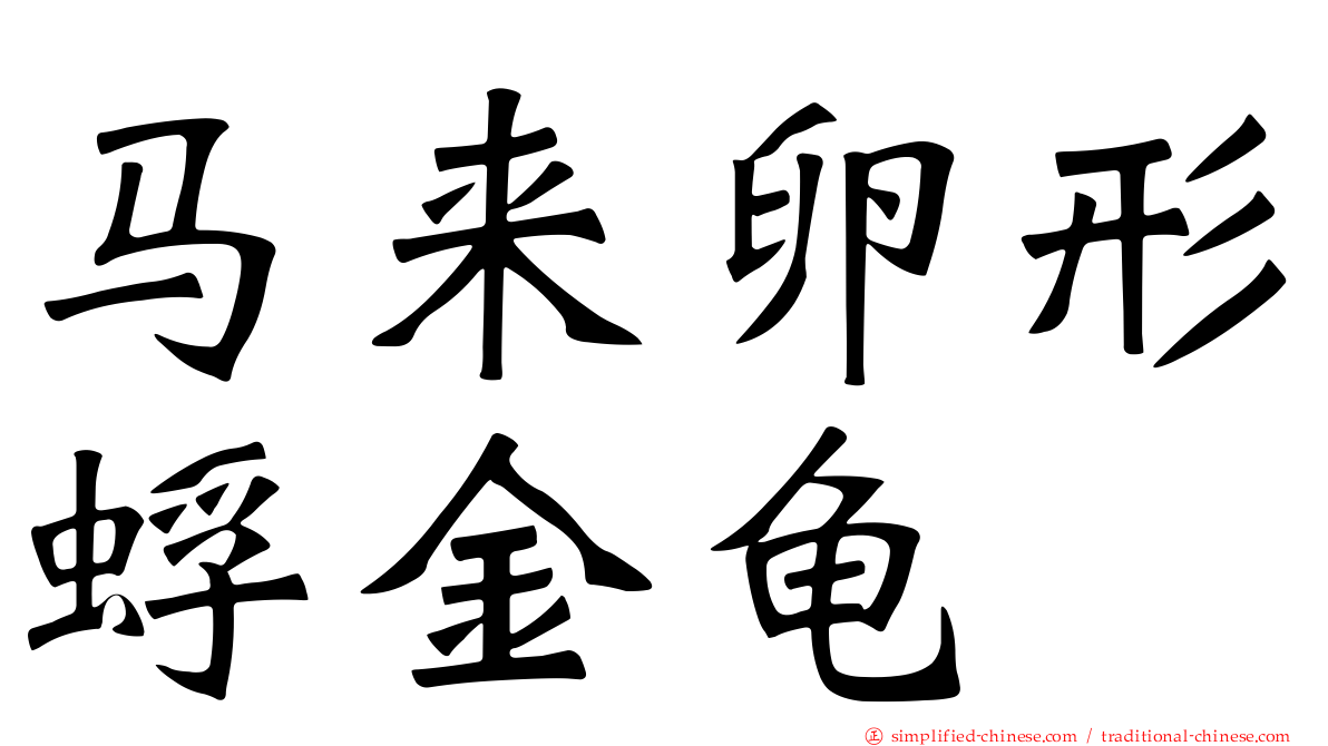 马来卵形蜉金龟