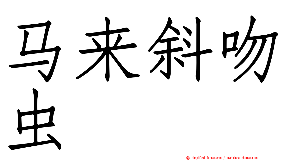 马来斜吻虫