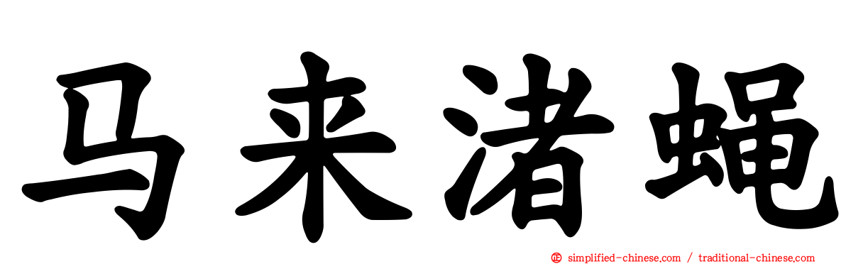 马来渚蝇
