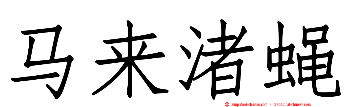 马来渚蝇