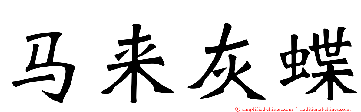 马来灰蝶
