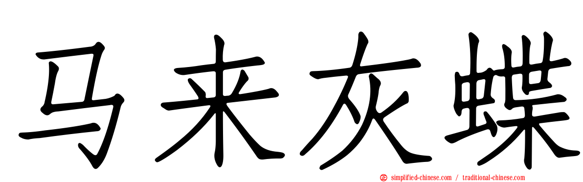 马来灰蝶