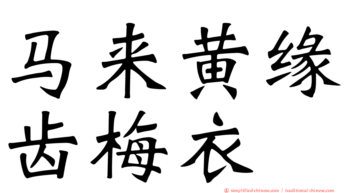 马来黄缘齿梅衣