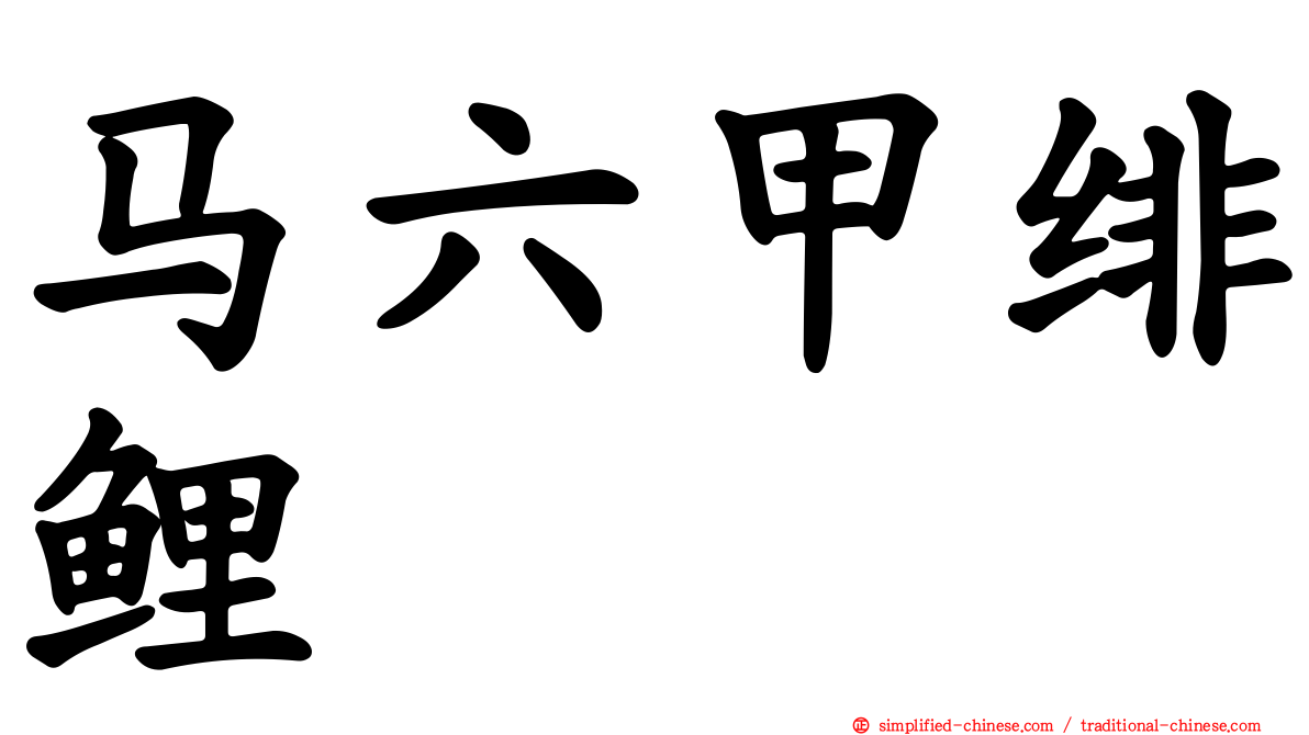 马六甲绯鲤