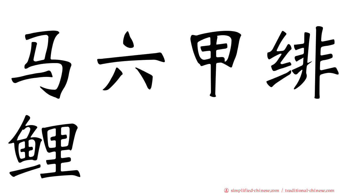 马六甲绯鲤